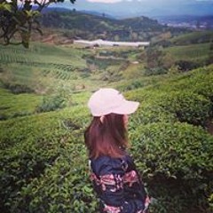 Đinh Nguyễn Quỳnh Anh