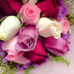 Doaa Youssef