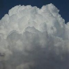 حامل القران