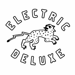 Electric Deluxe Recorders