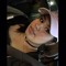 Celia Mendez