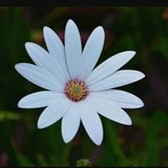 إلا صلاتى ما أخليها.mp3