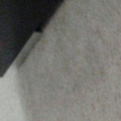 the Brady bunch love