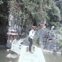 việt mix