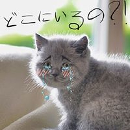 Stream Needle Case music Listen to songs, albums, playlists for free