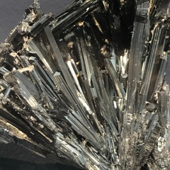 shady larry & john myth