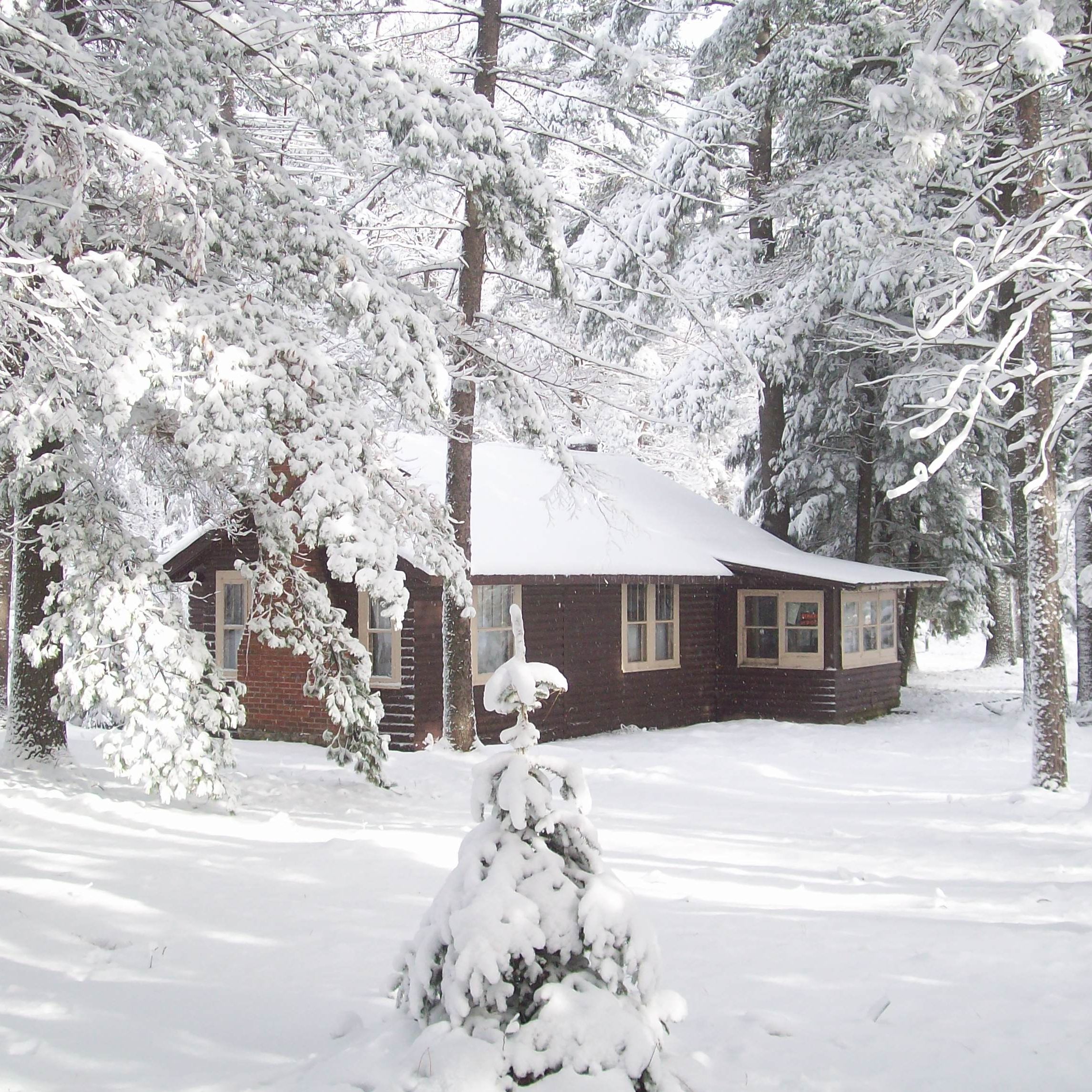 The Northern Hermit Show