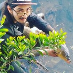 Sebastián Iscariote