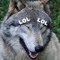 Ze-Sub_Woofer