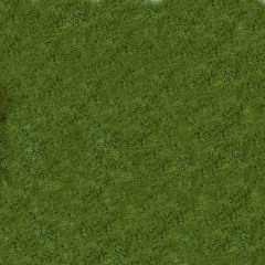 Юлия Авструб