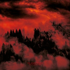 Burning World / Roadburn