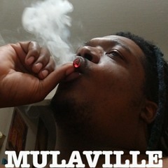 MULAVILLE