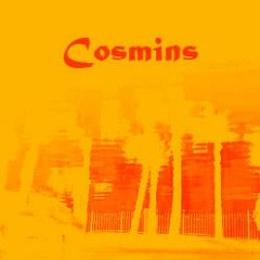 Cosmins