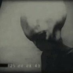 [True/False]/[D.Nowski]/[Zero_One]