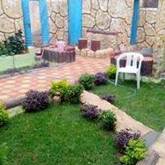 محمد الصديق البدوي