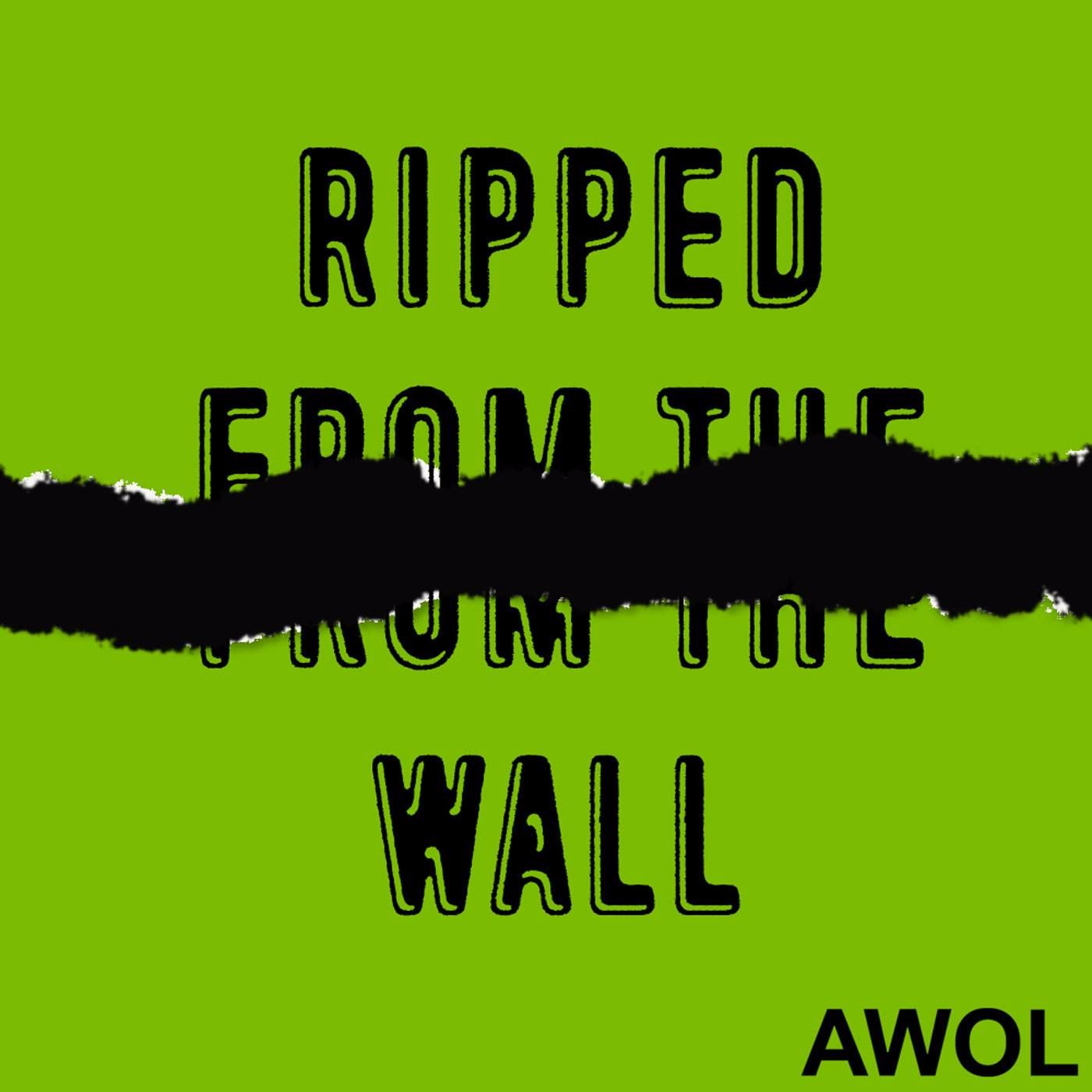 Ripped From The Wall