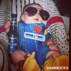 Hammocks the Band