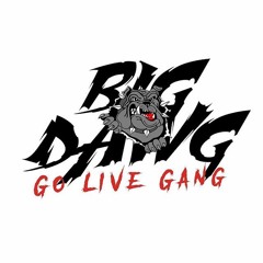 BIG DAWG GO LIVE GANG