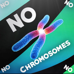 No Chromosomes