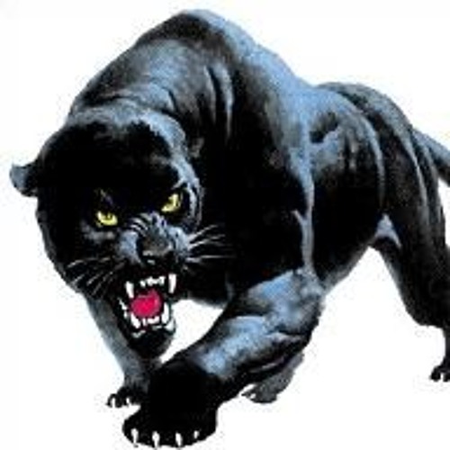 DIRTY PANTHER’s avatar