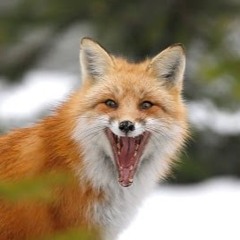 Килогерцы (https://radiola.audio)