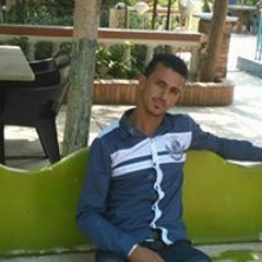 محمد مصطفى الوزير
