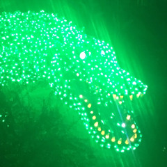 A Crocodile