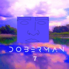 Doberman7