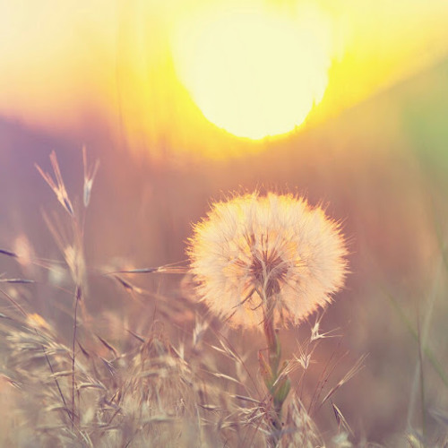 Stream 2Ç Y music | Listen to songs, albums, playlists for free on ...