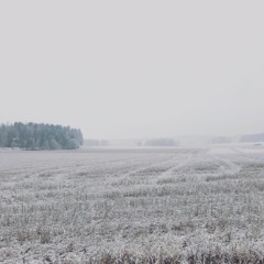 ensvm