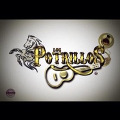 Los Potrillos_Official