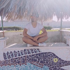 Ahmed Samy Waly