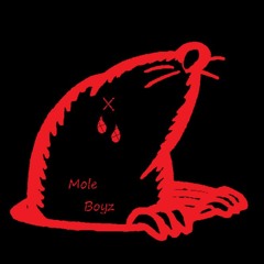 Mole Boyz