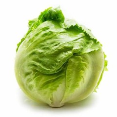 A Piece of Lettuce