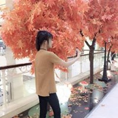Hương Nhím