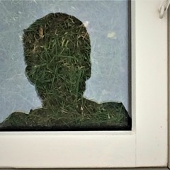 David Kærlund Nielsen