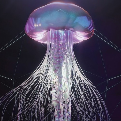 Luminescence 038 - D∑L - Deep Winter 2022
