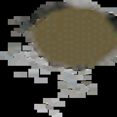 FoxFire