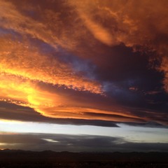 Jenny from the block