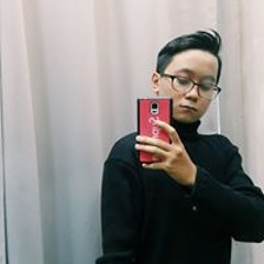 Hoang Huy Le