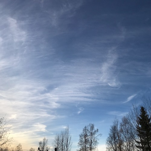 Stream The Wood Brothers Honey Jar by Äänekäs Listen online for