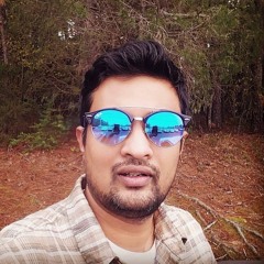 Vignesh V