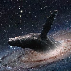 Spaceless Whale
