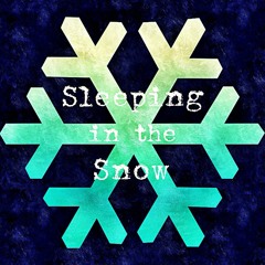 Sleeping In The Snow