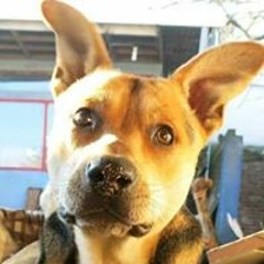 Claudio Flako Feuerhake