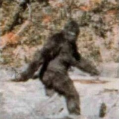 Interdimensional-Sasquatch