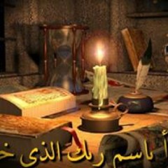 محمد المصرى