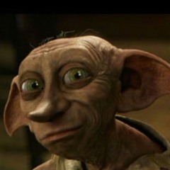 Z-Dobby