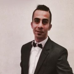 Wael Abdelaal