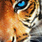 User 891966589